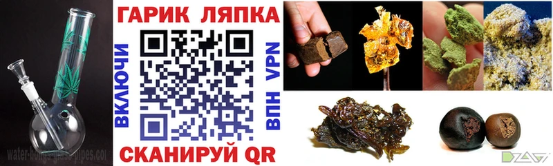 как найти наркотики Жуковский MEGA ссылка Гашиш индика сатива