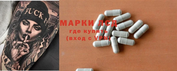 ECSTASY Бородино