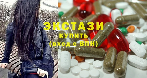 ECSTASY Бородино