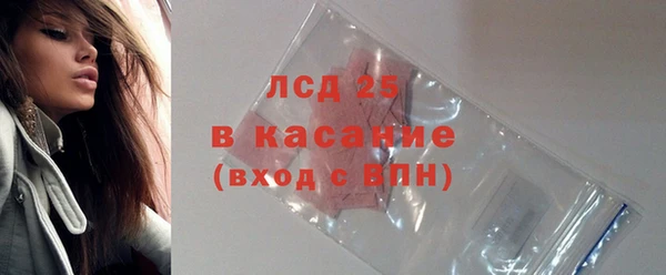 ECSTASY Бородино