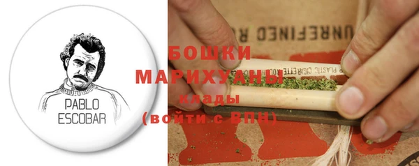 ECSTASY Бородино