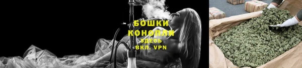 ECSTASY Бородино
