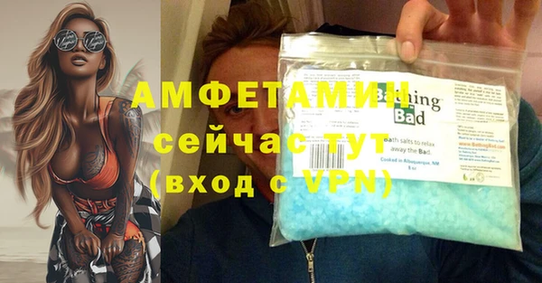 ECSTASY Бородино
