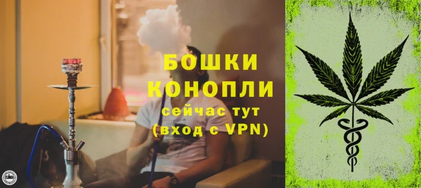 ECSTASY Бородино